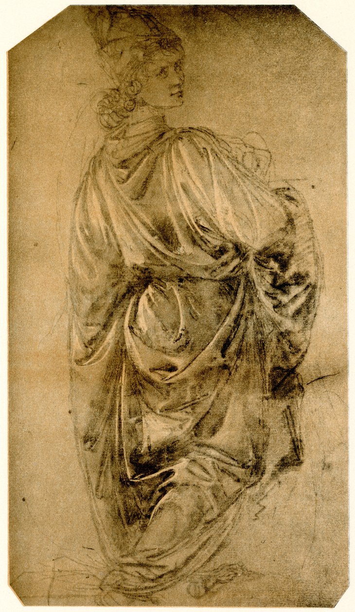Studie mladého muže od Sandro Botticelli