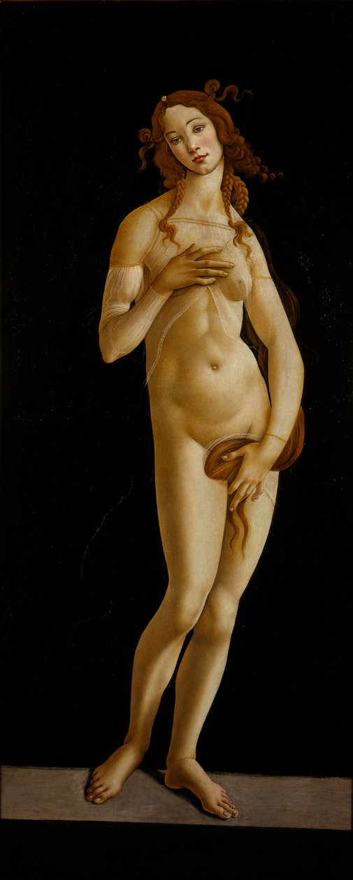 Venuše Pudica, asi 1485-1490. od Sandro Botticelli