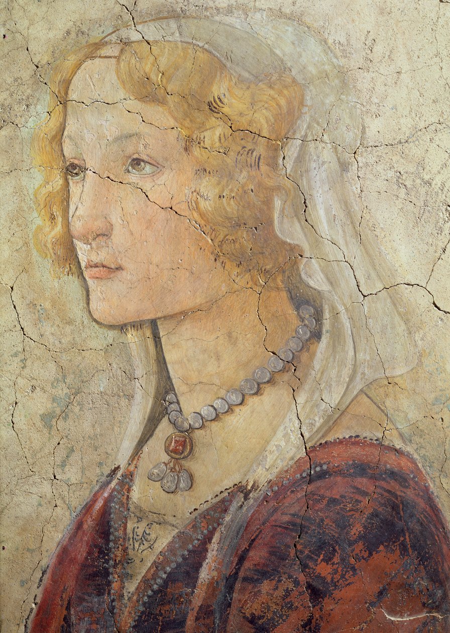 Venuše a tři grácie nabízející dary dívce, detail dívčí hlavy, 1486 freska detail z 33760 viz také 93892-93894 od Sandro Botticelli
