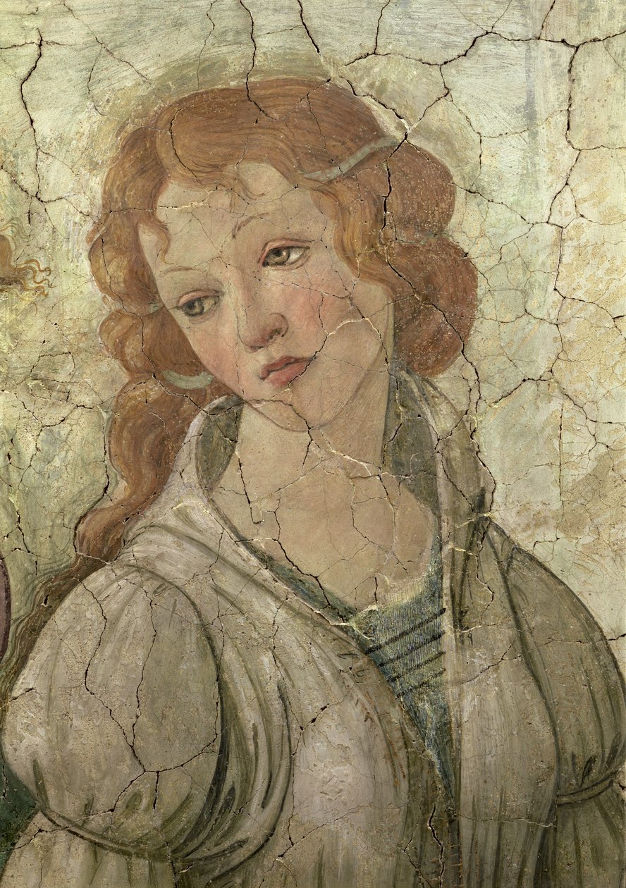 Venuše a tři grácie nabízející dárky mladé dívce, detail jedné z detailů fresky Grácií z 33760 viz také 93891, 93893-4 od Sandro Botticelli