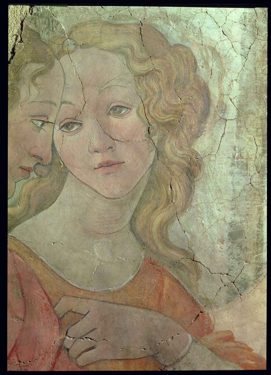 Venuše a tři grácie nabízející dárky mladé dívce, detail jedné z grácií, c.1483 detail fresky z 33760 viz také 93891-2, 93894 od Sandro Botticelli