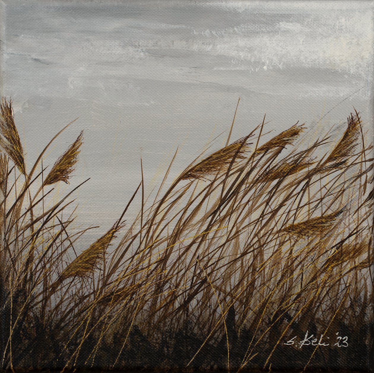  od Sandy Iseli