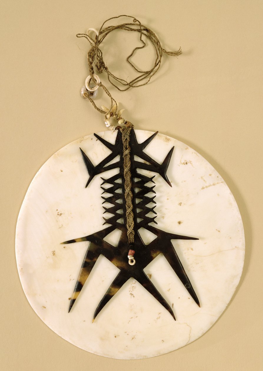 Ornament hrudníku (tema), ostrov Ndeni, před rokem 1890 (ulita tridacna, krunýř želvy, kámen a zvířecí zuby) od Santa Cruz Islander Santa Cruz Islander