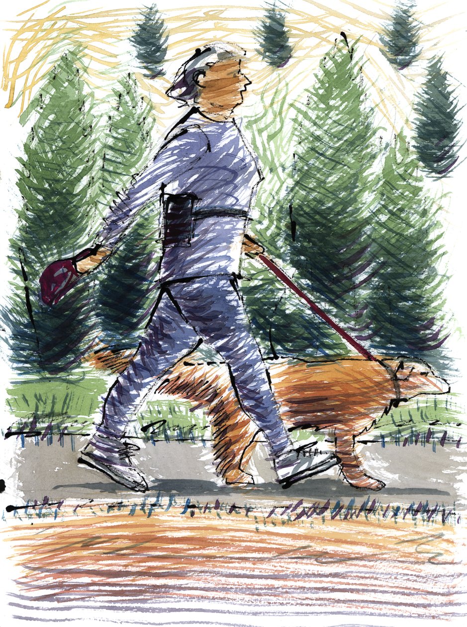Walking the Dog, 2009 (akryl) od Sara Hayward