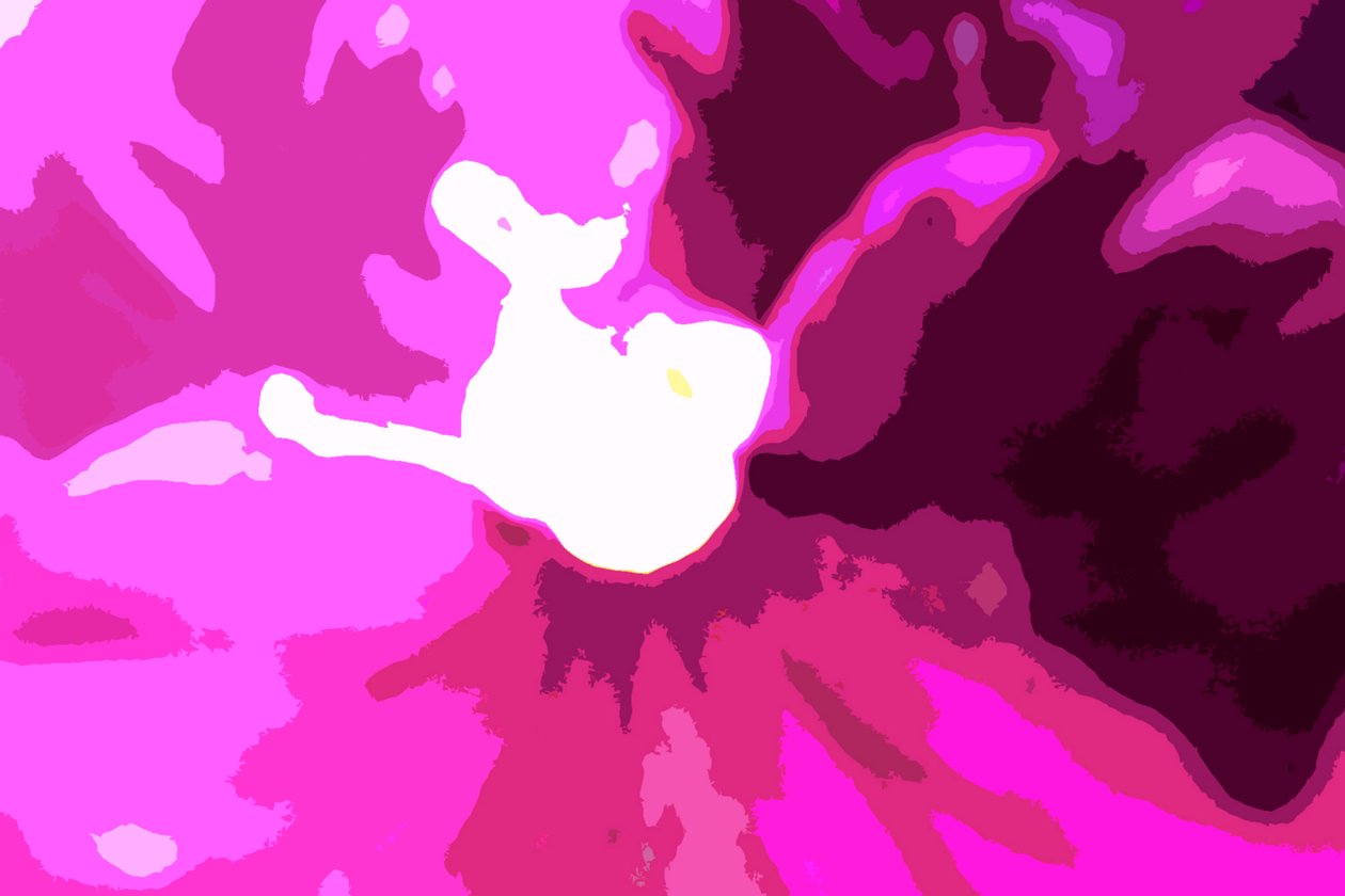 Raspberry Crush od Sarah OToole
