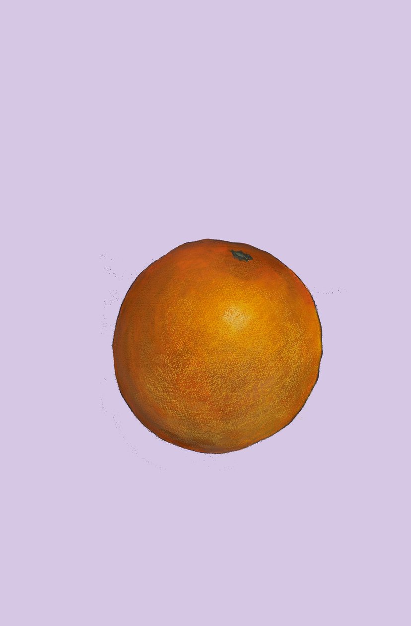 Orange, 2007 (olej a pastel na papíře) od Sarah Thompson Engels