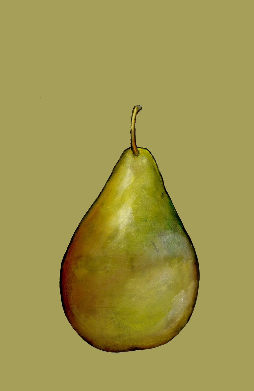 Hruška, 2007 (olej a pastel na papíře) od Sarah Thompson Engels