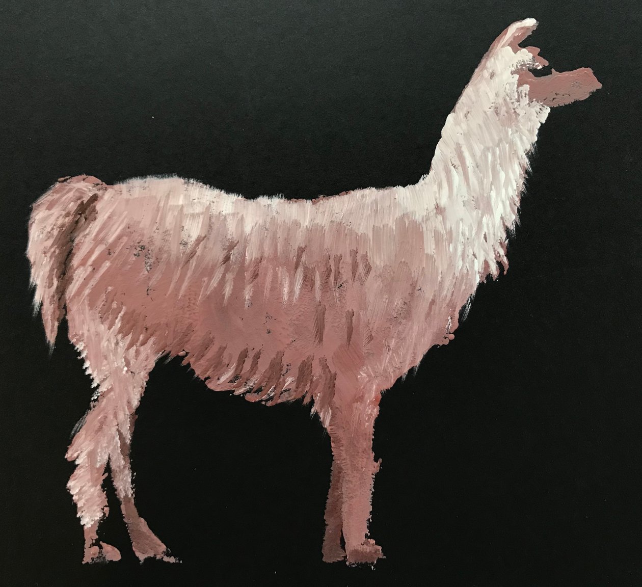 Lama od Sarah Thompson Engels