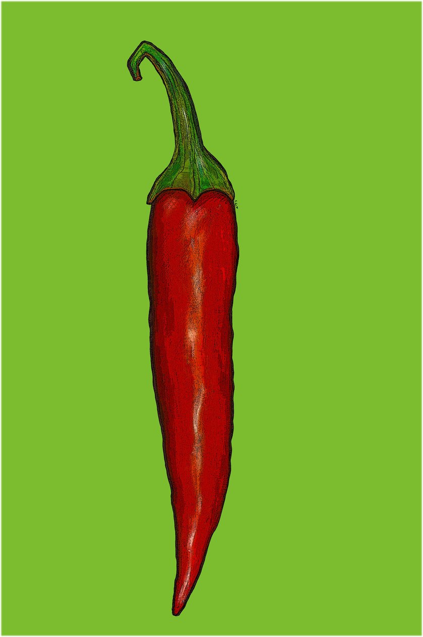 Červená pálivá chilli paprička od Sarah Thompson Engels