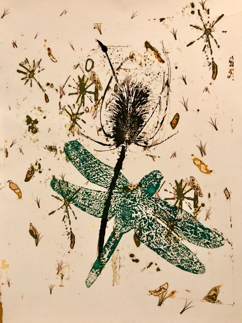 Teasel (monotisk na papíře) od Sarah Thompson Engels
