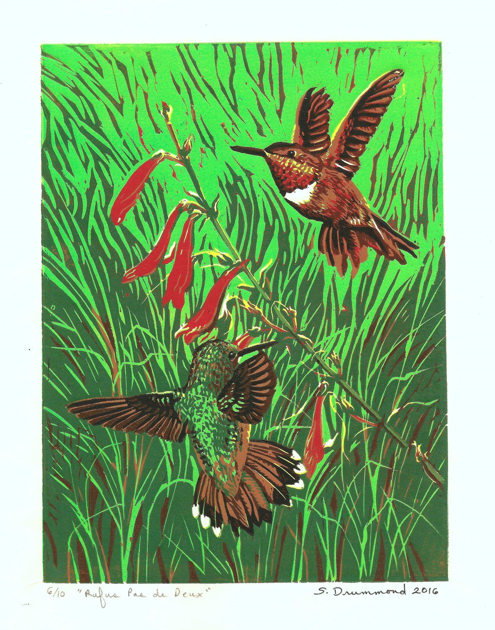 Rufus Pas de Deux, 2016 (linoryt ) od Sarah Drummond