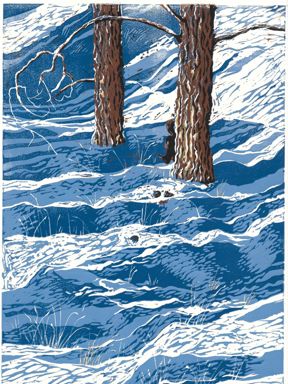 Jarní sněžení, 2016 (linoryt) od Sarah Drummond