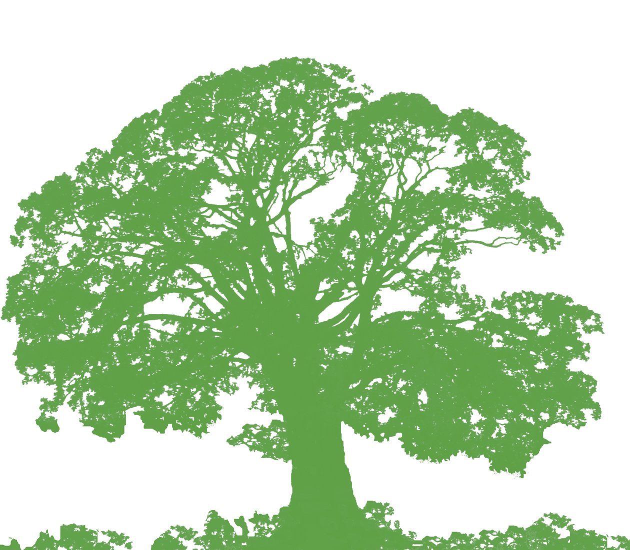 Climbing Tree, 2009 (digitální) od Sarah Hough