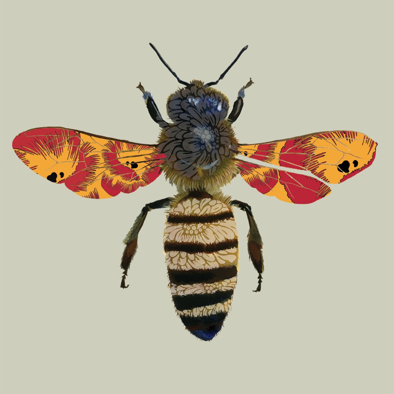 Honey Bee, 2010 (digitální) od Sarah Hough