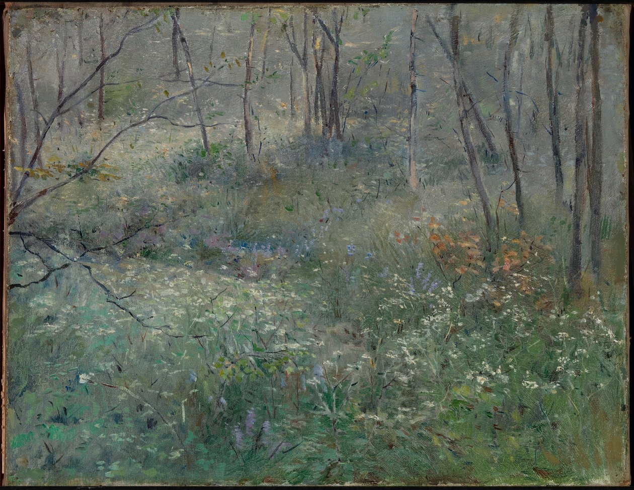 Divoká petržel od Sarah Paxton Ball Dodson