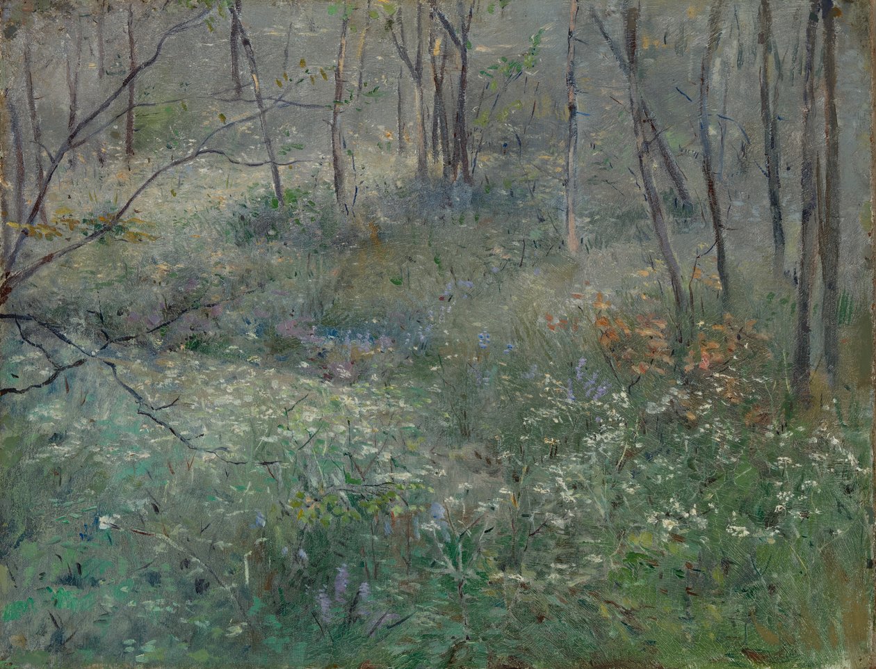 Divoká petržel, 1900. od Sarah Paxton Ball Dodson