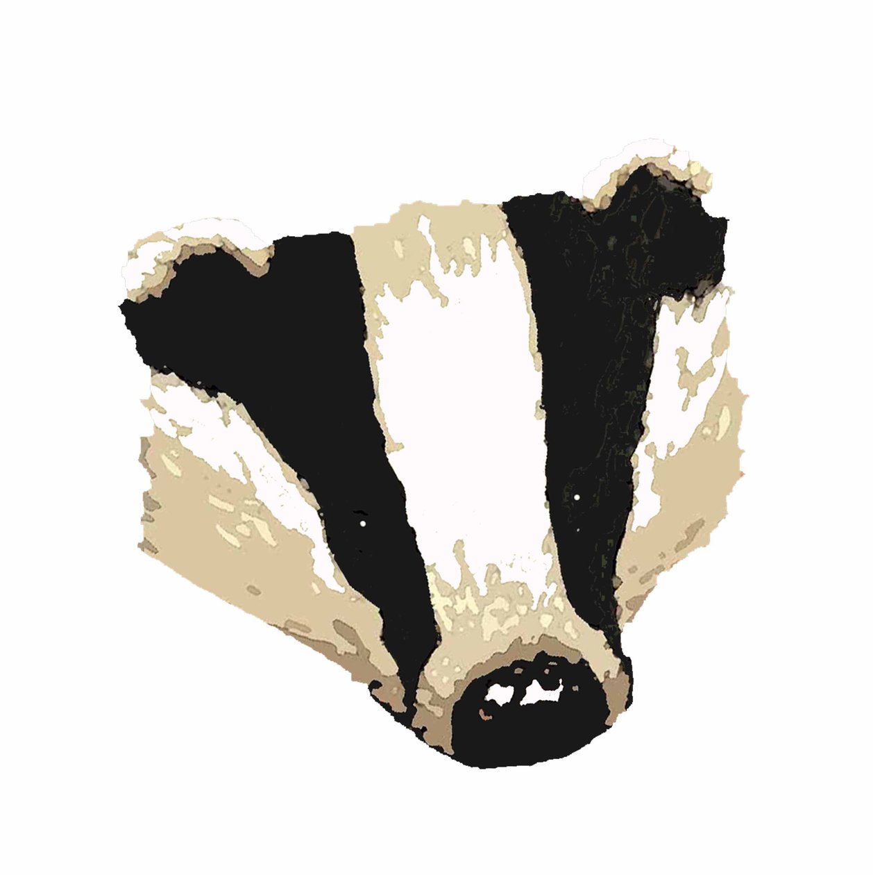 Jezevec, 2018, (digitální kresba) od Sarah Thompson Engels