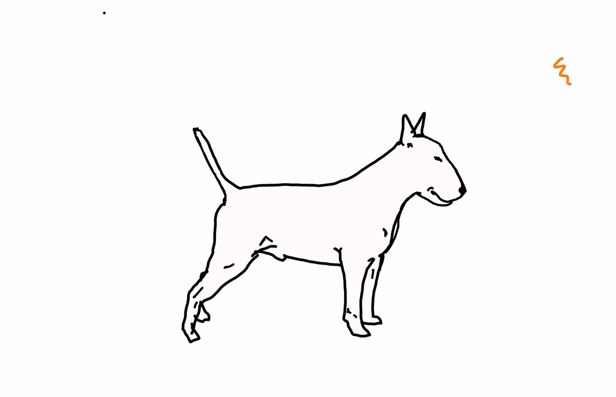 Bulteriér, 2018, (digitální kresba) od Sarah Thompson Engels