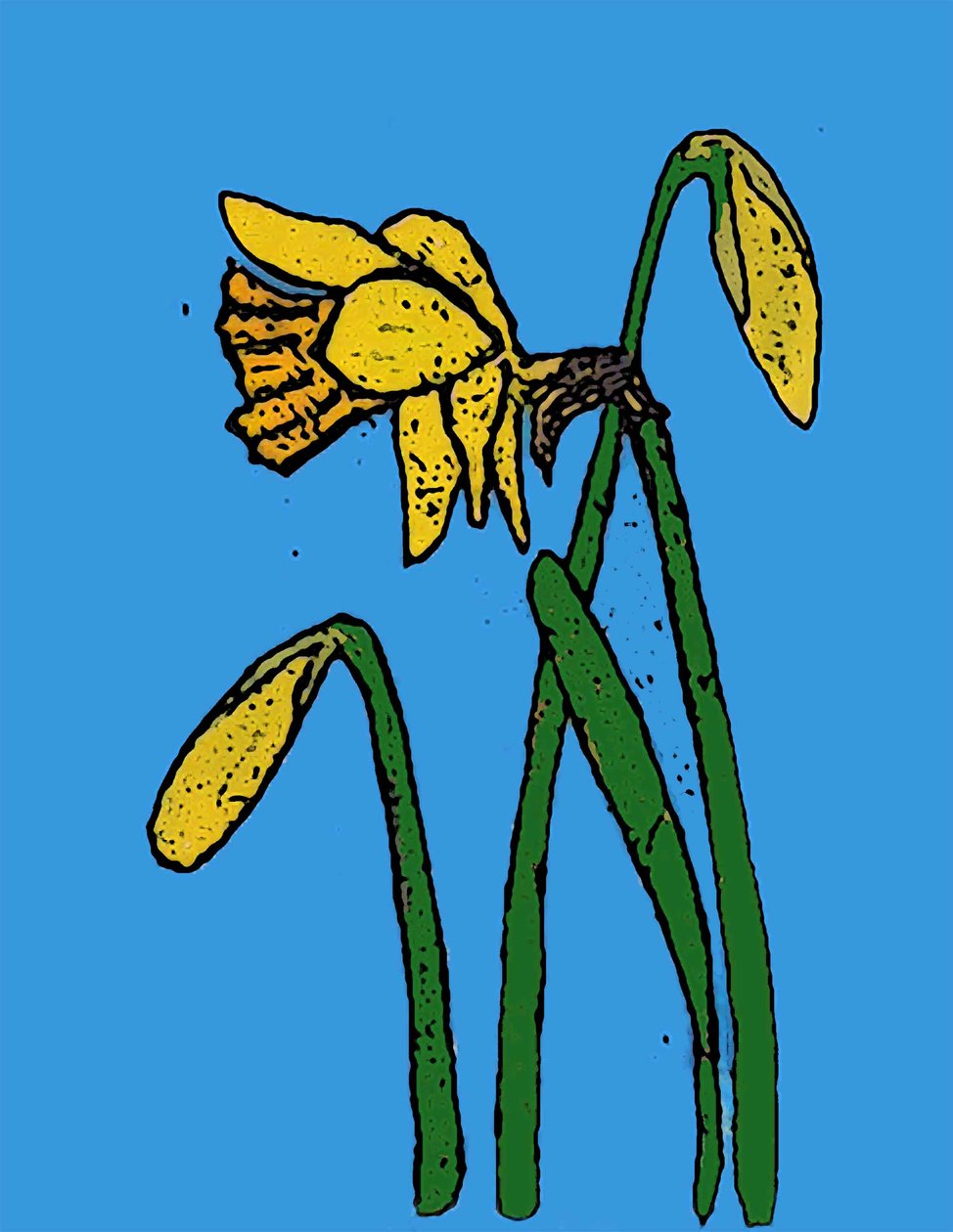 Narcisy, 2015 (monotisk s inkousty) od Sarah Thompson Engels