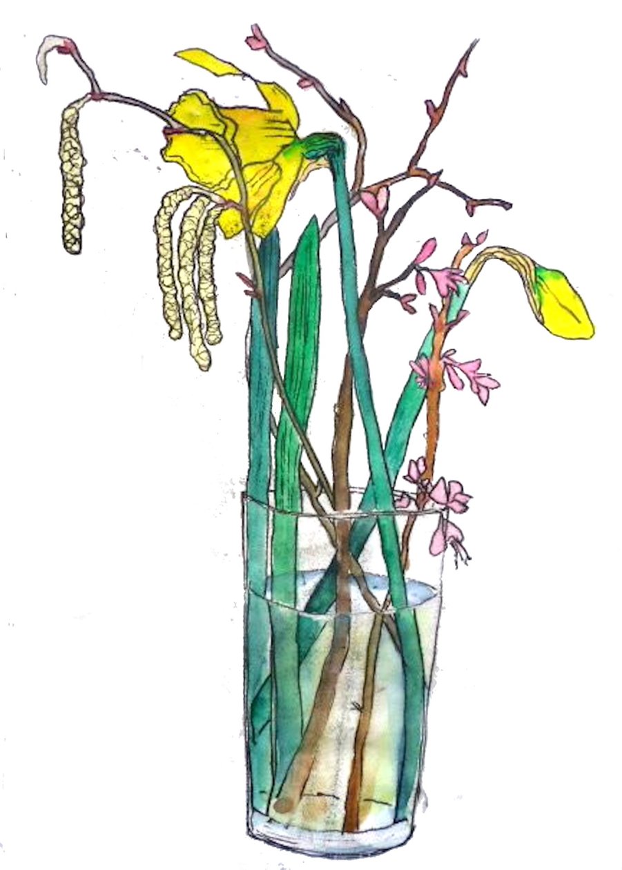 Narcisy od Sarah Thompson Engels