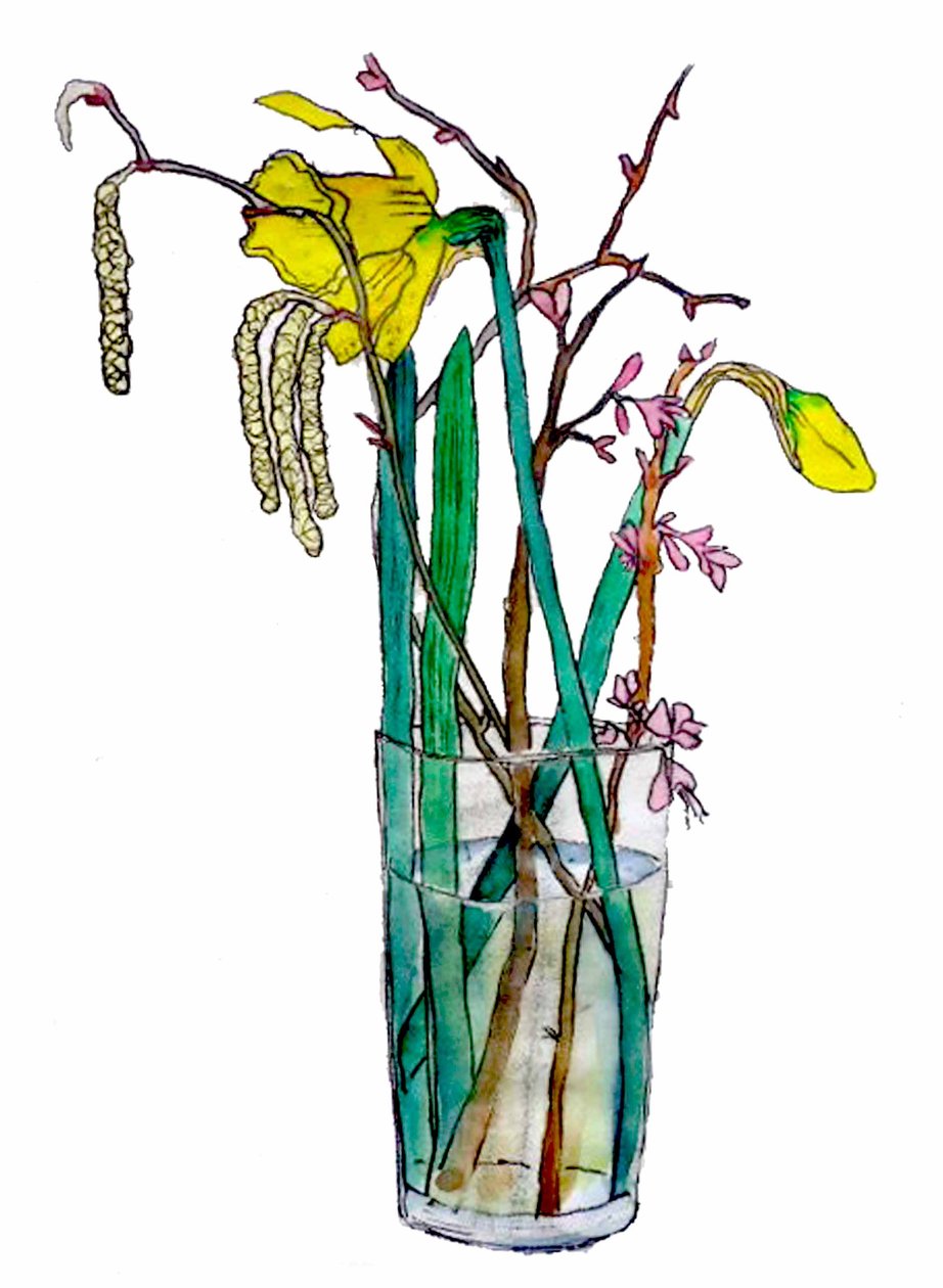 Narcisy a jehnědy, 2018 (akvarel) od Sarah Thompson Engels