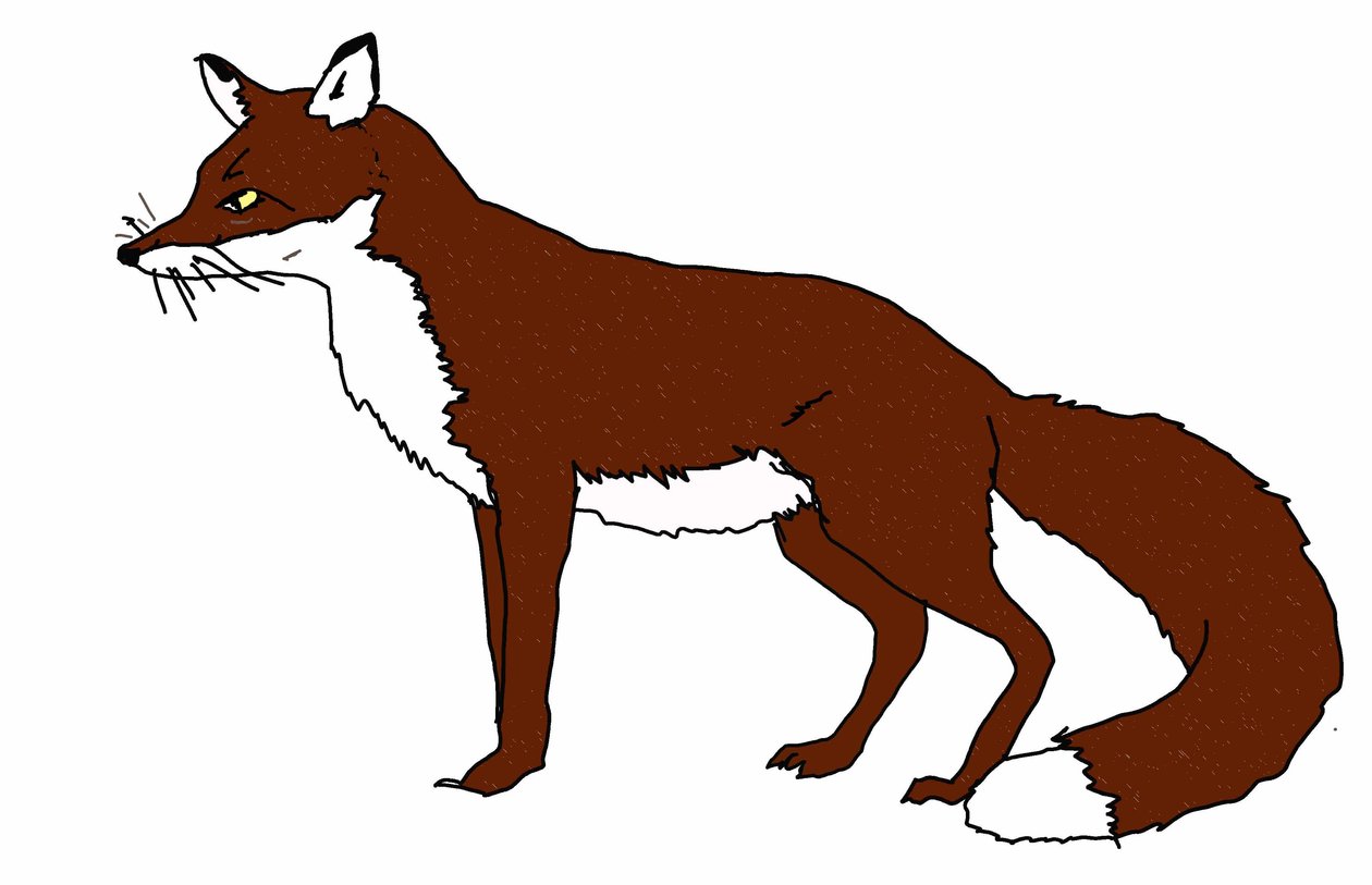 Fox, 2018, (digitální kresba) od Sarah Thompson Engels