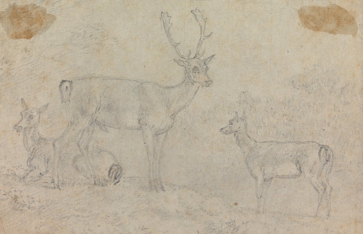Buck and Two Deer od Sawrey Gilpin