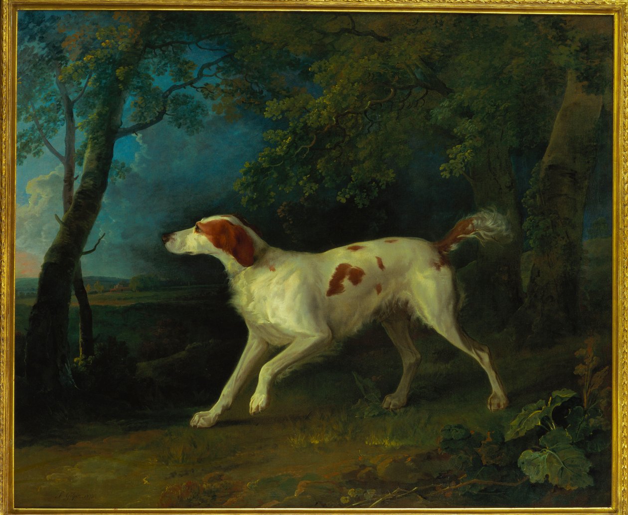 Hnědobílý setr v zalesněné krajině, 1773 od Sawrey Gilpin