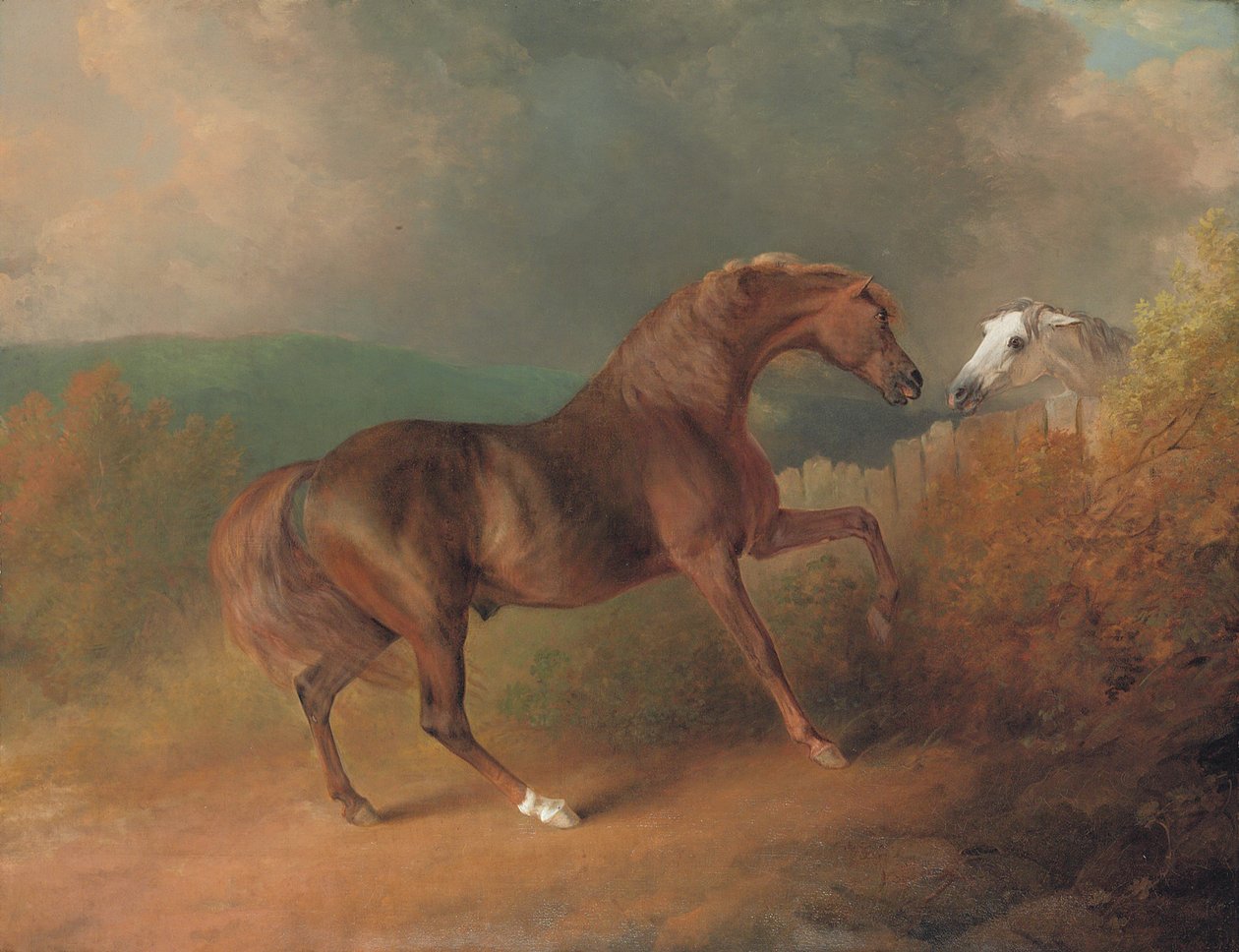 Jupiter plukovníka Thorntona, u Eclipse out of a Mare od Tartara, u plotu, s Grey Mare, v Thornville Royal, 1792 od Sawrey Gilpin