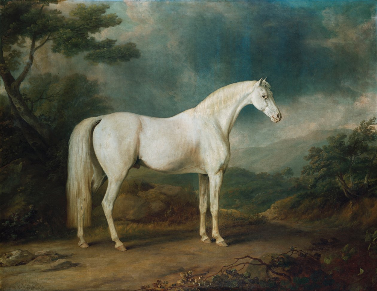 Bílý kůň v zalesněné krajině, 1791 od Sawrey Gilpin