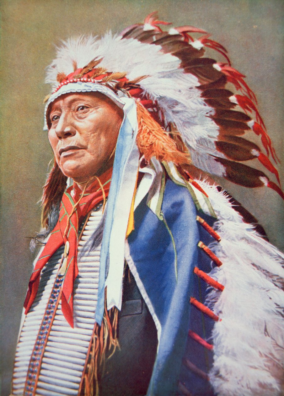 Chief Hollow Horn Bear (1850-1913) (barevné lito) od School American