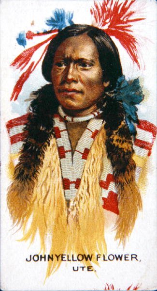 John Yellow Flower (barva lito) od School American