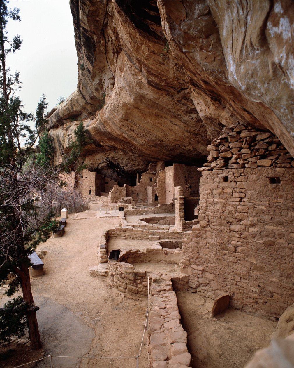 Pohled na pozemek smrkového domu (1993, fotografie) od School Anasazi
