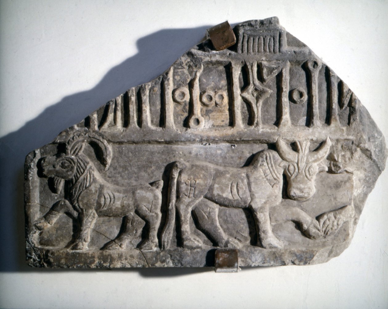 Jihoarabské umění: basreliéf s písmem zobrazujícím zvířata. Museo Nazionale Romano, Řím. od School Arabic