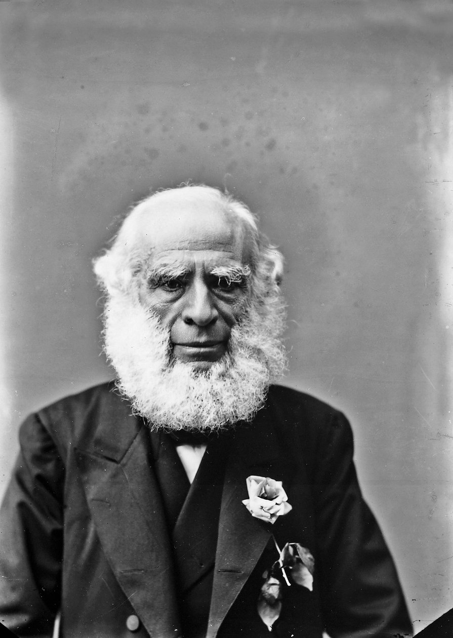 Portrét staršího muže od Henry Charles Fehr