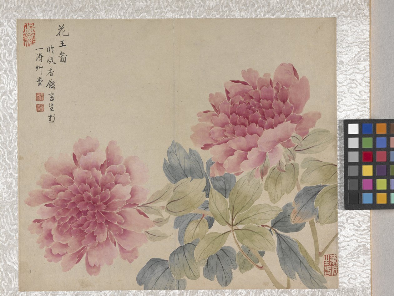 8listé album květin, polovina 17. století (tuš a barva na papíře) od School Chinese