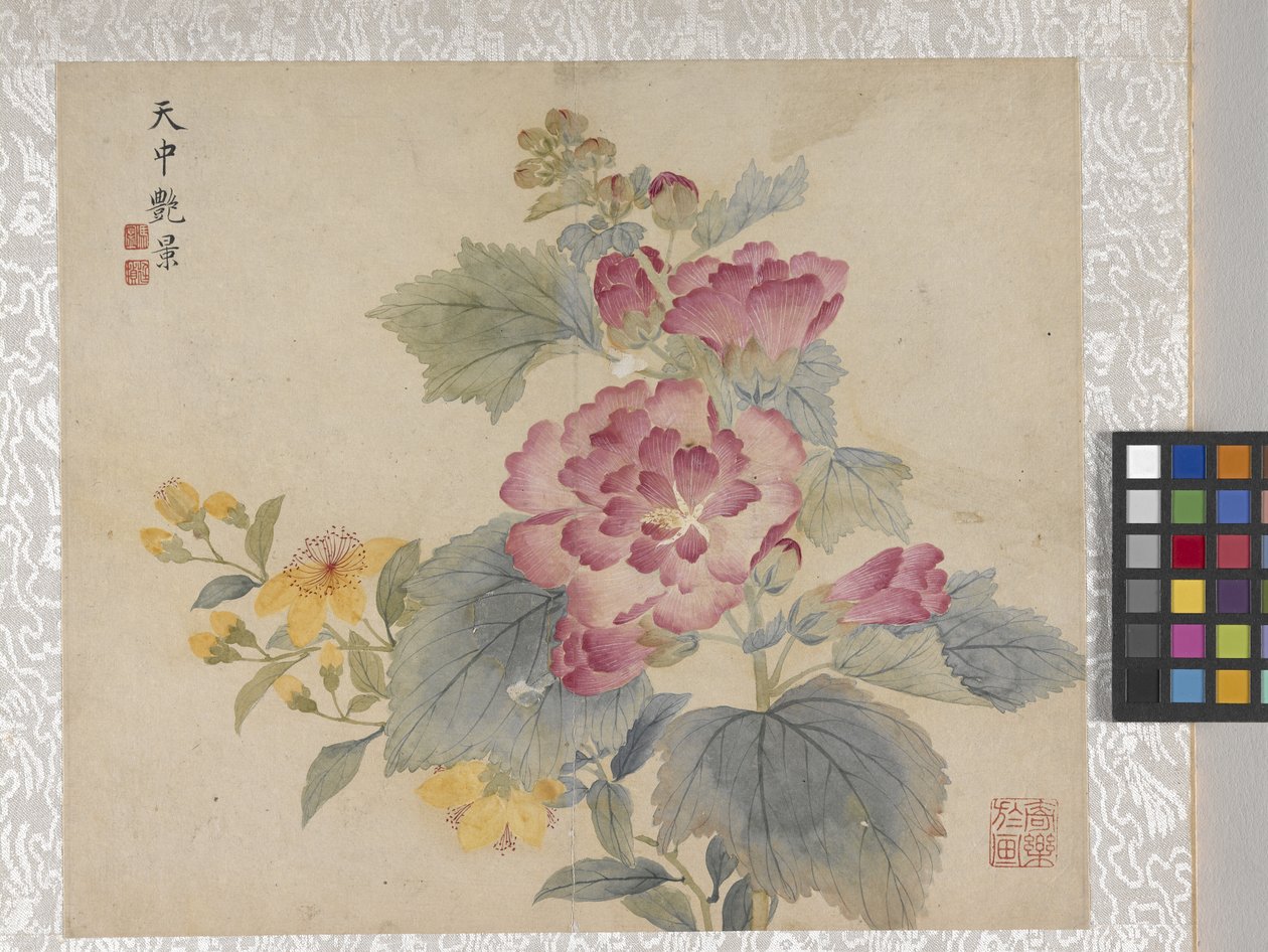 8listé album květin, polovina 17. století (tuš a barva na papíře) od School Chinese