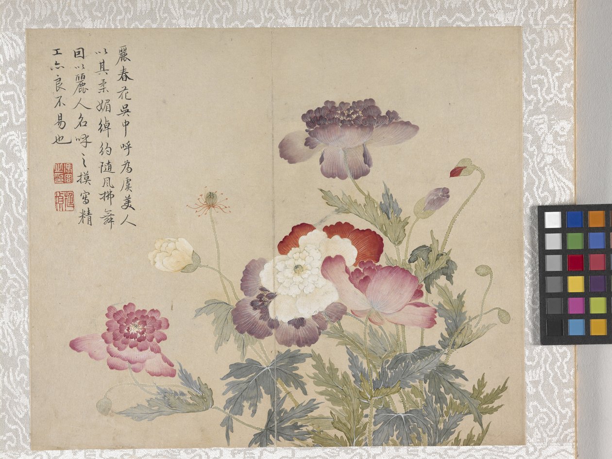 8listé album květin, polovina 17. století (tuš a barva na papíře) od School Chinese