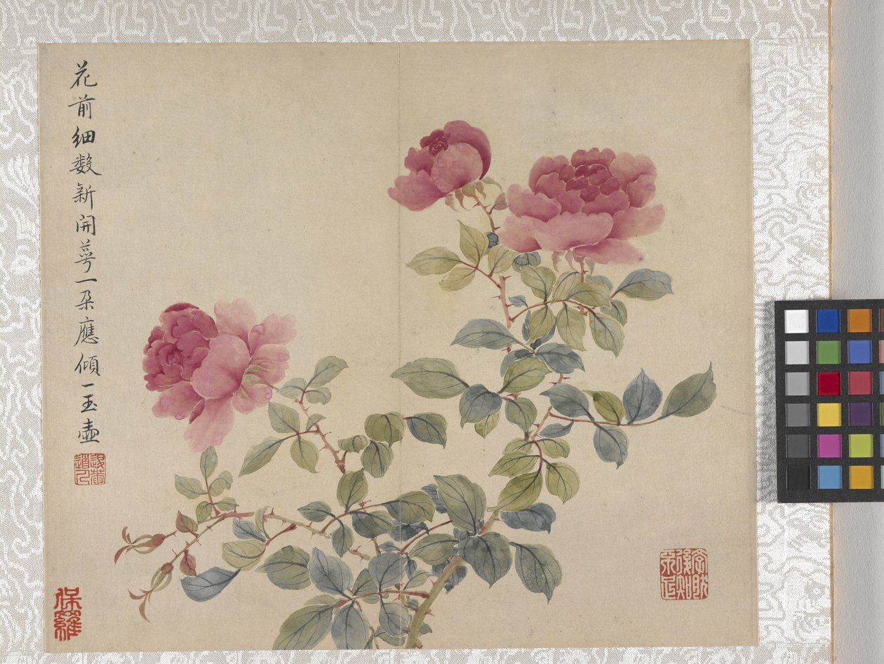 8listé album květin, polovina 17. století (tuš a barva na papíře) od School Chinese