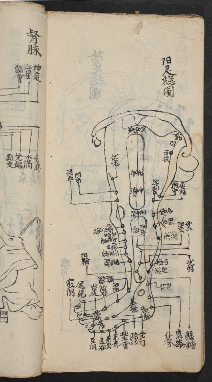 Akupunkturní body na noze, od Jing Guan Qi Zhi, 