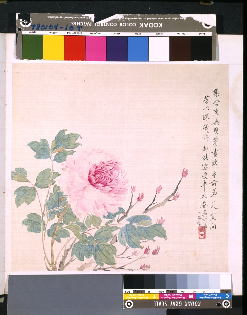 Album květin a ptáků, datum neznámé (tuš a barva na hedvábí) od School Chinese