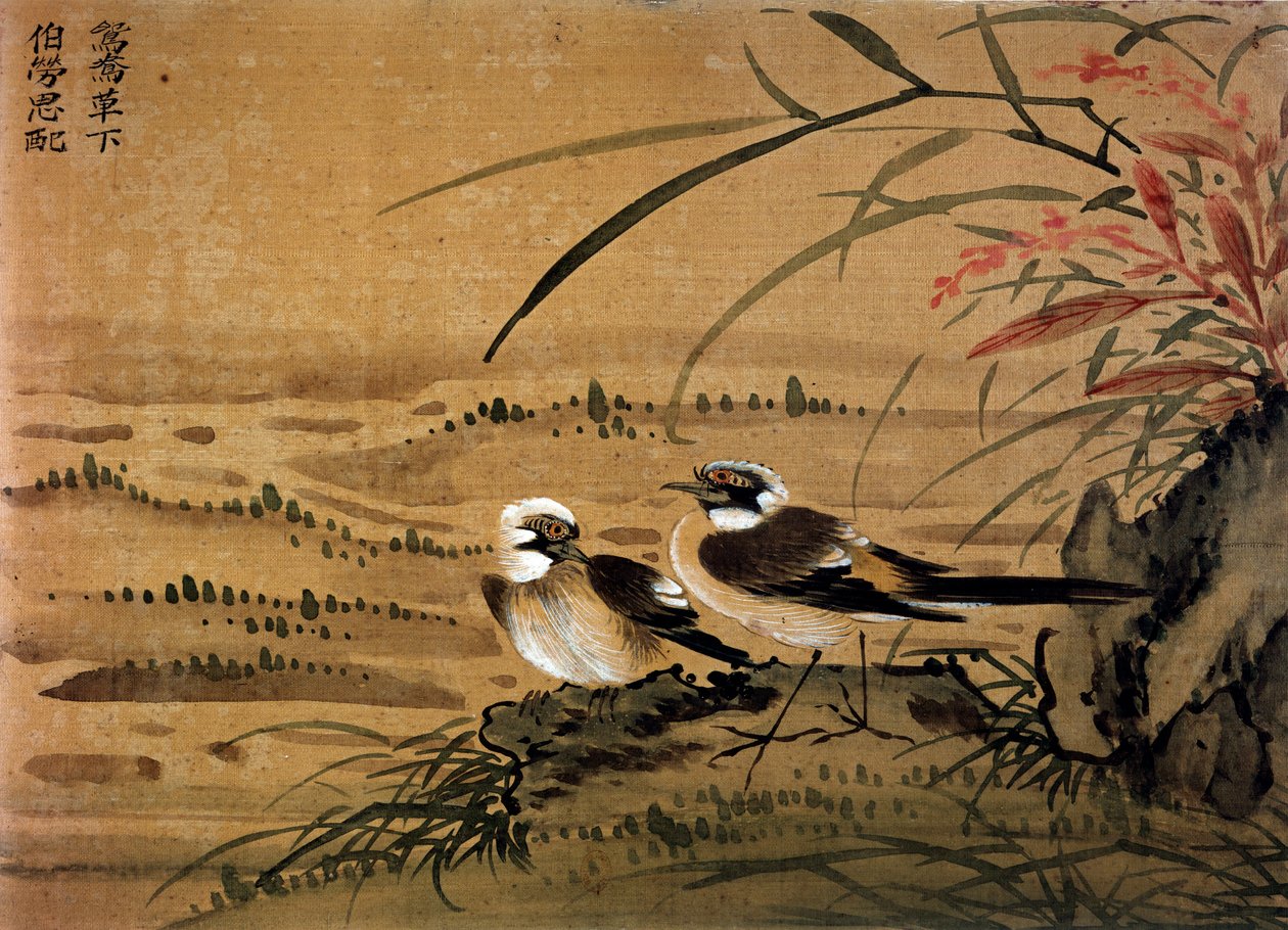 Art China: Ptáci. Malba na hedvábí od Li youen kien ze 16. století. Paříž, BN od School Chinese