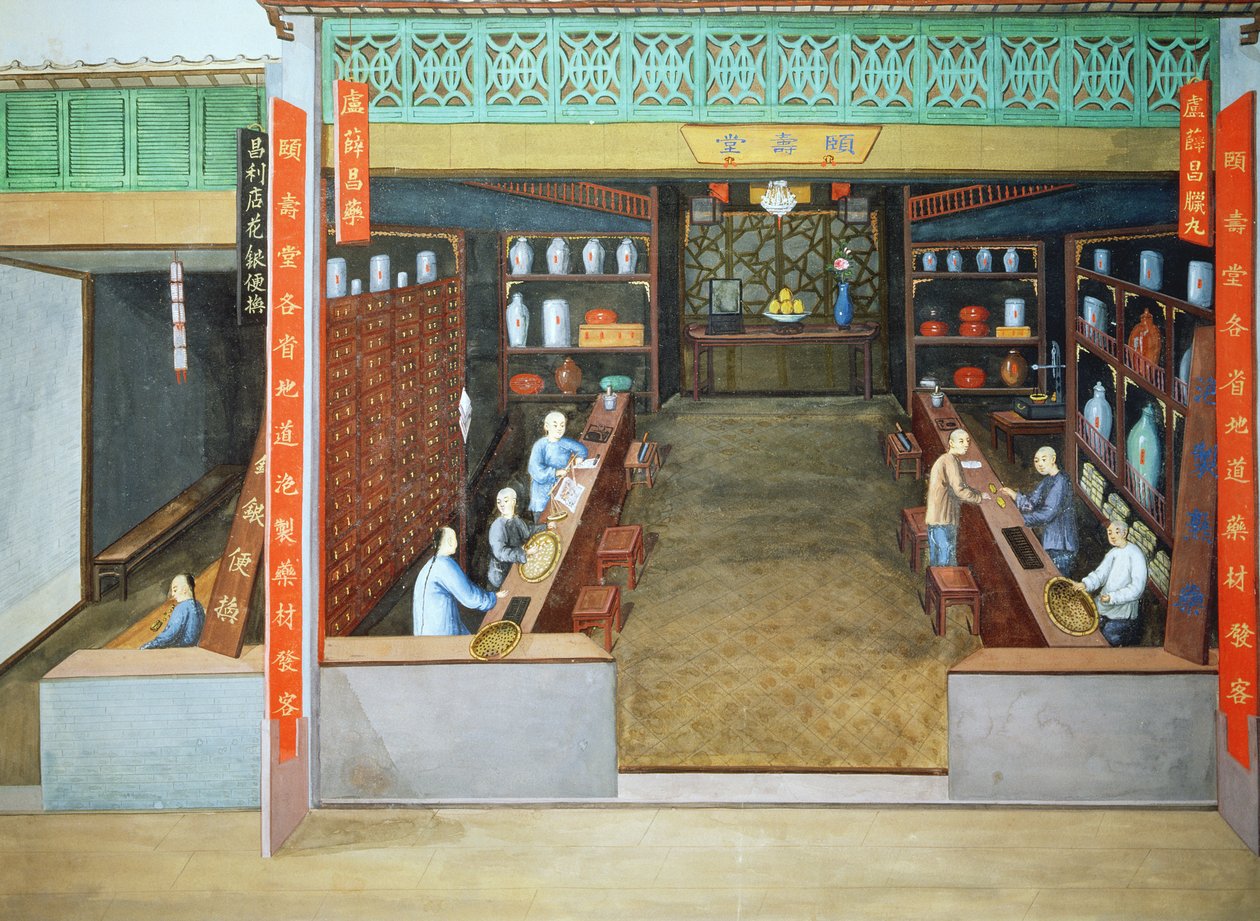 Čínská medicína, asi 1830 (kvaš na papíře) od School Chinese