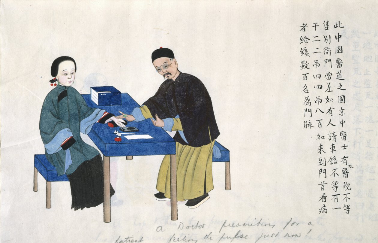 Nebo 11539 fol.89v Taking pulz, z alba scén života v Číně (akvarel na papíře) od School Chinese