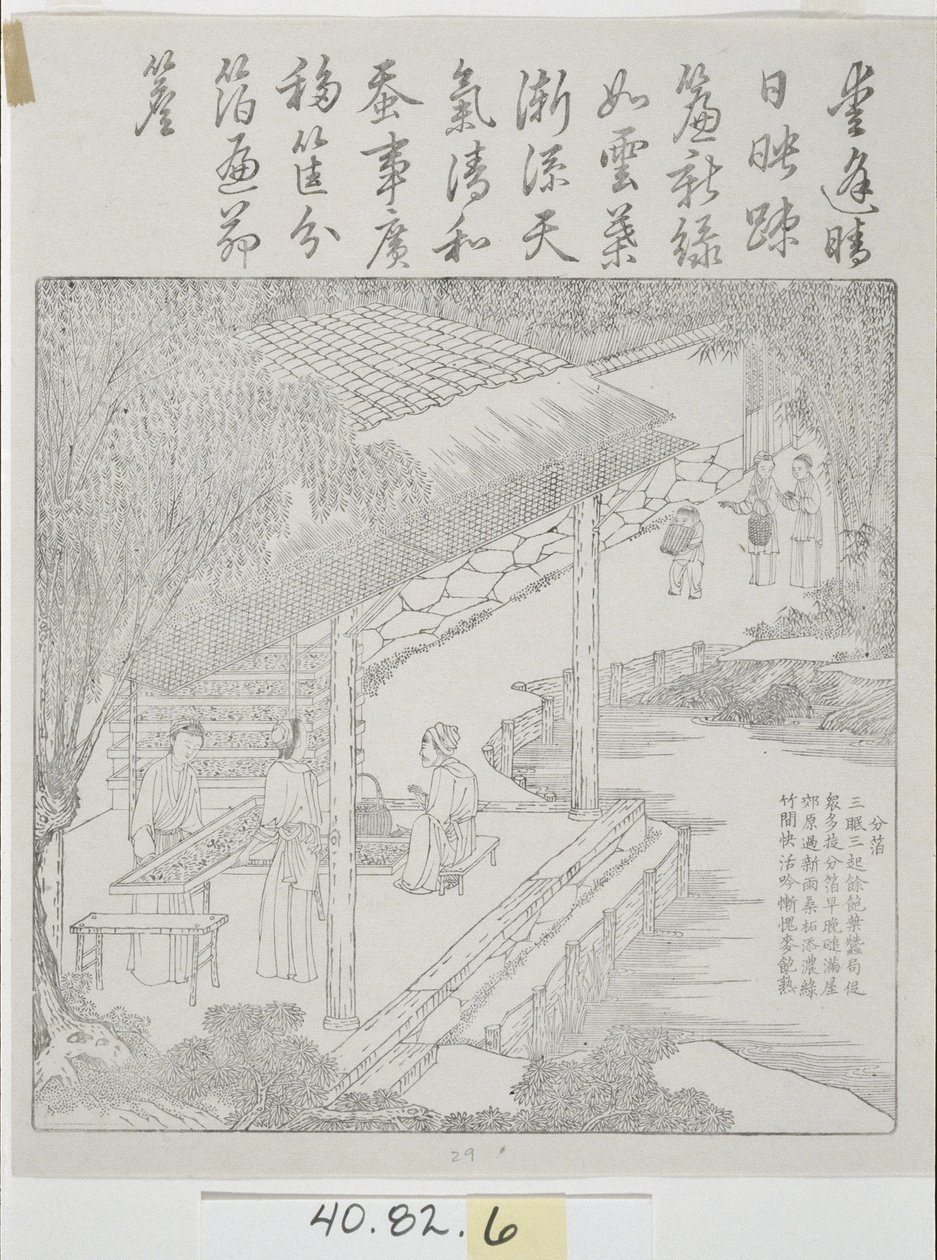 Sada dřevorytů, hedvábná kultura od School Chinese