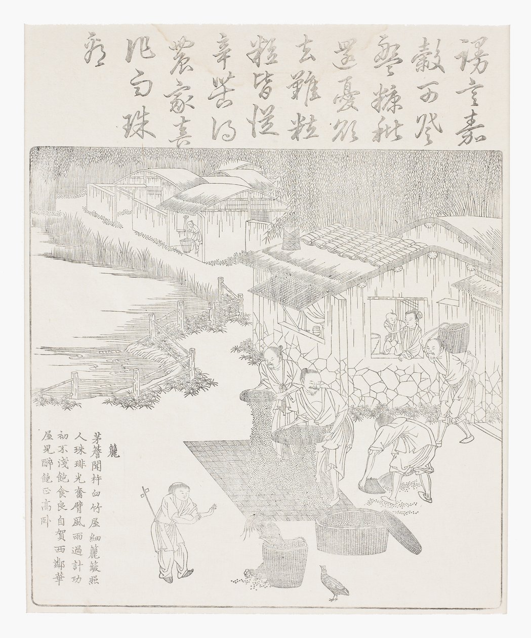 Prosévání rýže od School Chinese