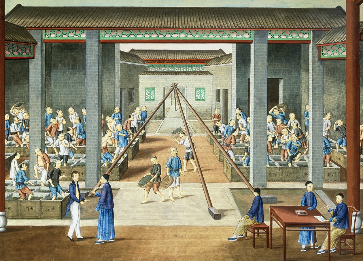 Čajová kultura: vážení a nákup čaje (kvaš na papíře) od School Chinese