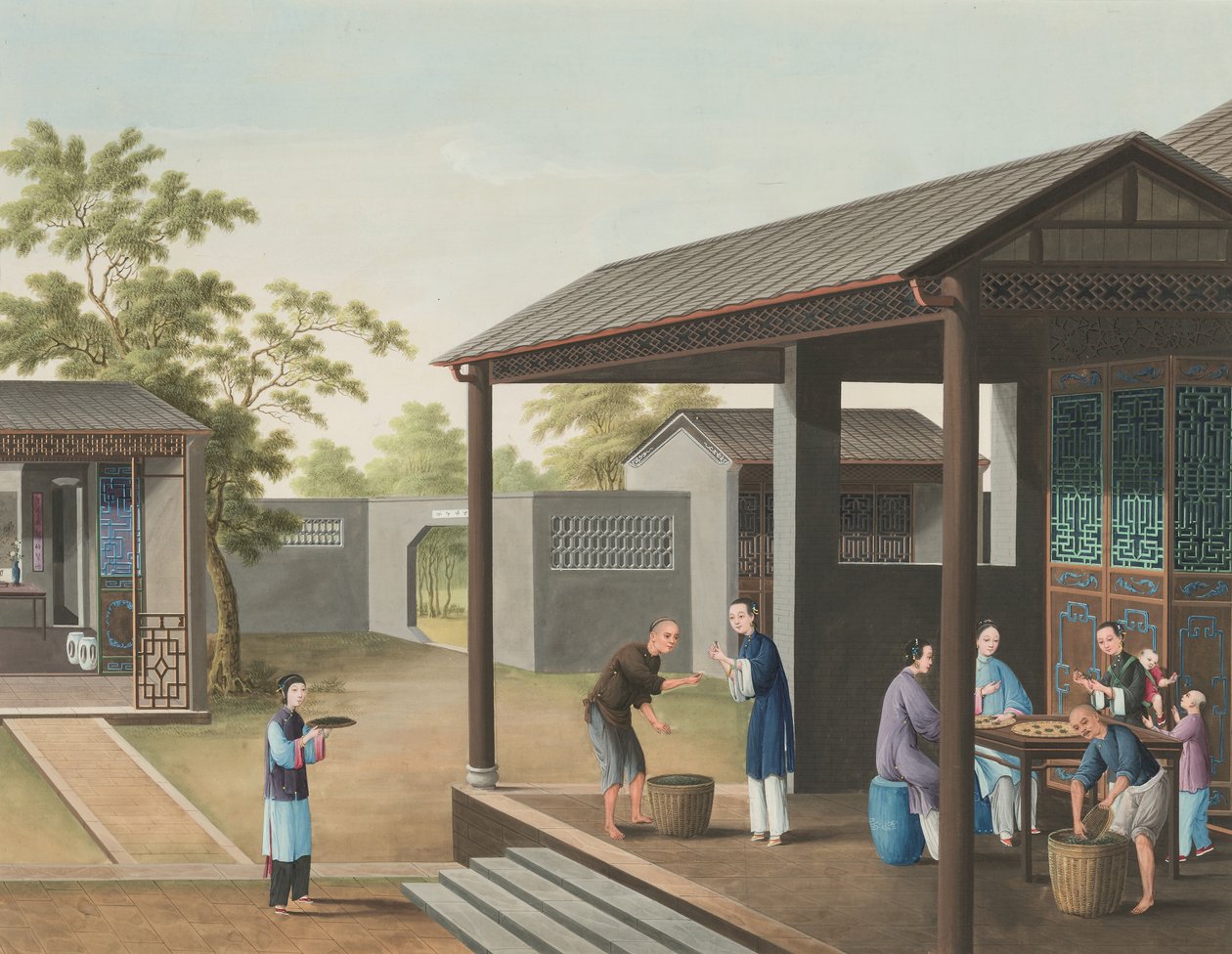 Výroba čaje, kolem roku 1820 (tělová a zlatá barva na hedvábí položená na papíře) od School Chinese