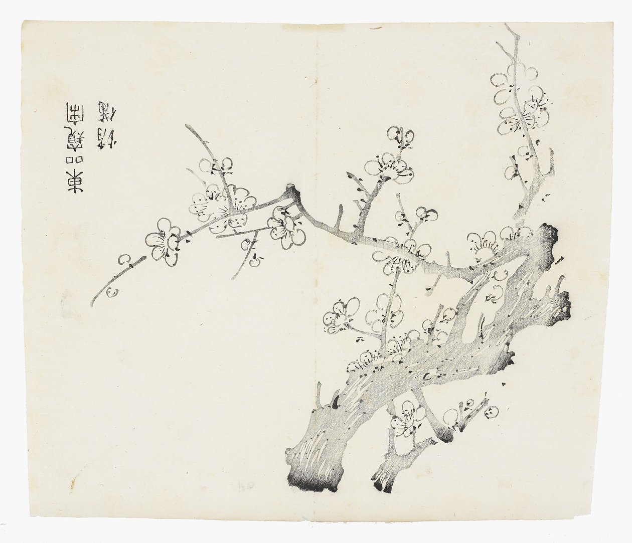 Deset bambusových seriálů od School Chinese