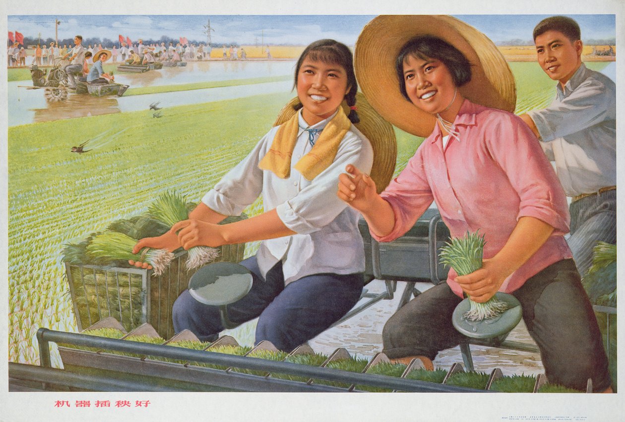 Přesazování sazenic strojem je dobré, propagandistický plakát z období čínské kulturní revoluce od School Chinese